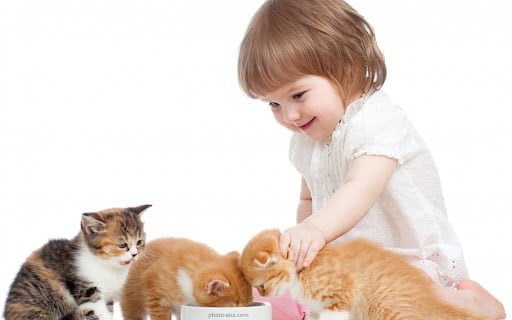 آلرژی و حساسیت به حیوانان